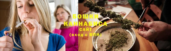 индика Армянск