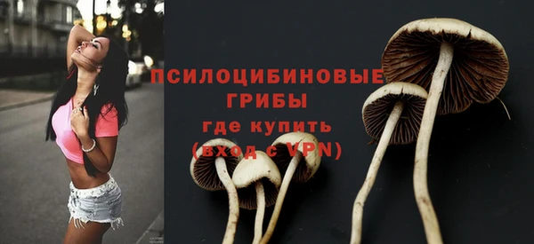 трава Аркадак