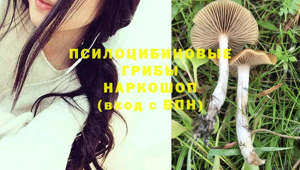 индика Армянск