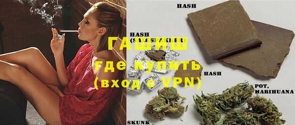 прущие грибы Болохово